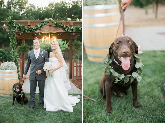 Simple and Sweet Backyard Wedding - Megan Welker Photography 063