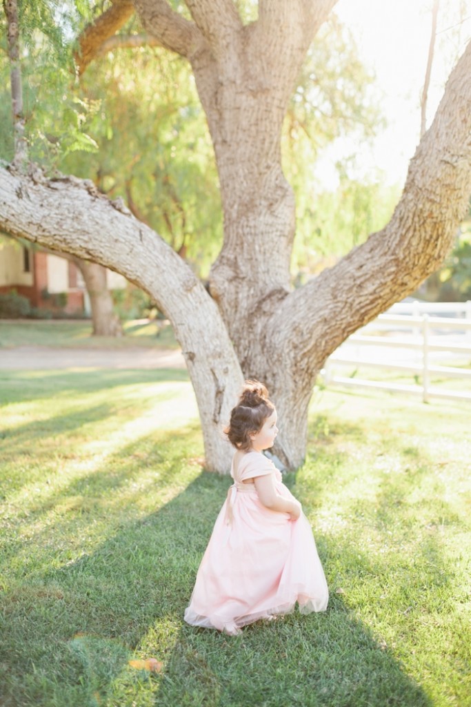 Hummingbird Nest Ranch Wedding - Megan Welker Photography 117