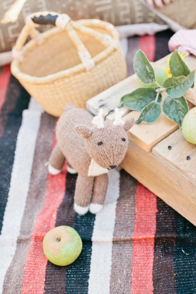 apple-picking-party-with-beijos-events-megan-welker-photography-003