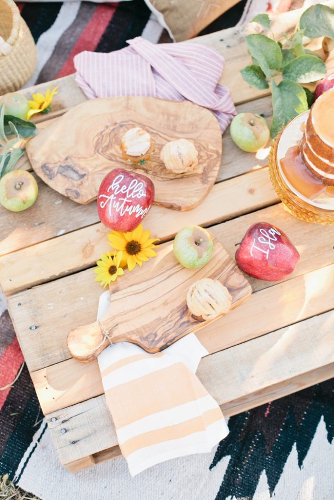 apple-picking-party-with-beijos-events-megan-welker-photography-006