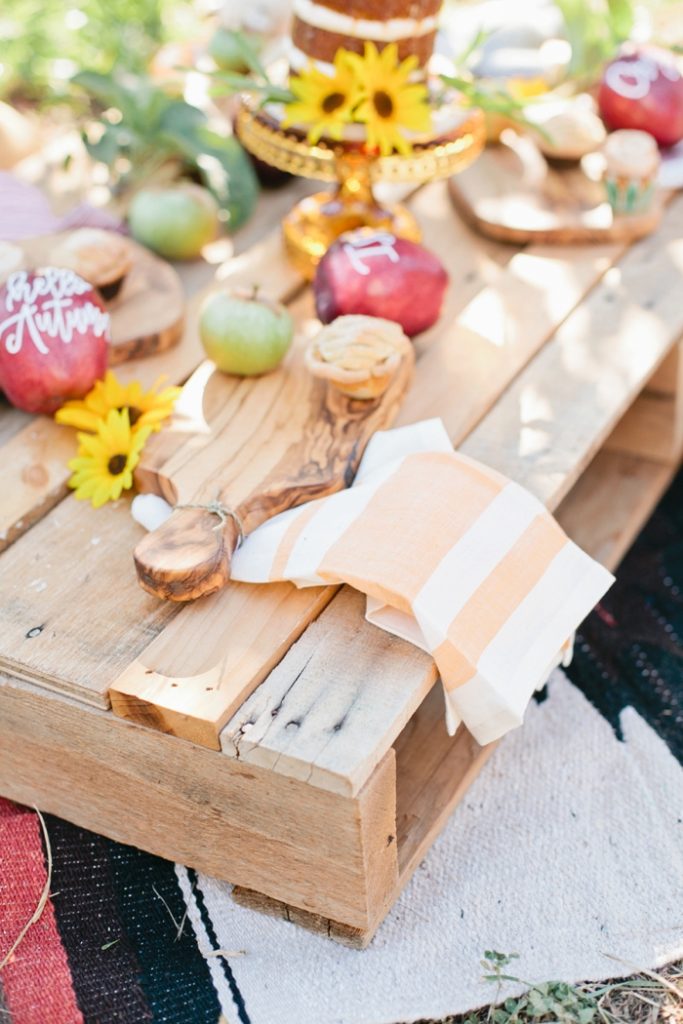 apple-picking-party-with-beijos-events-megan-welker-photography-010