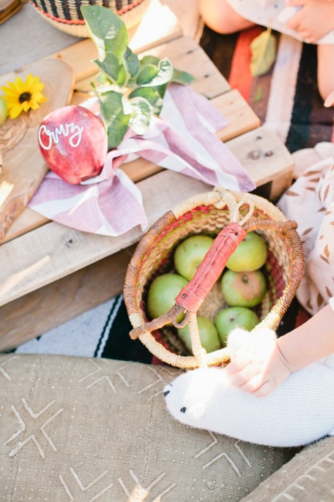 apple-picking-party-with-beijos-events-megan-welker-photography-013
