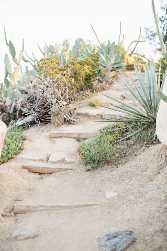 san-diego-cactus-maternity-session-megan-welker-photography-017